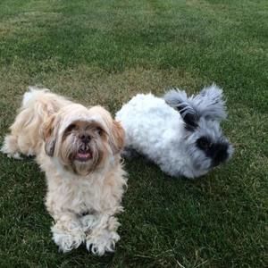 Meet your Posher, Lindsay